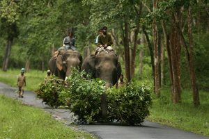 ob-lw709_idecid_h_20110117013719